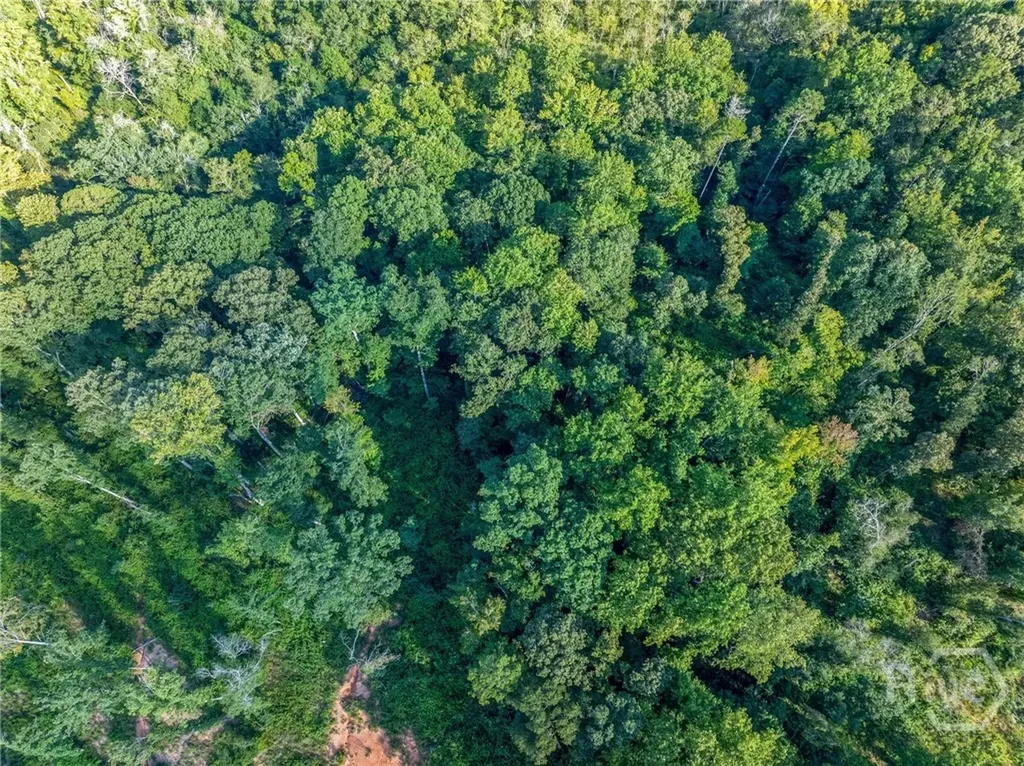 Lot 5 Stewart Loop Jefferson GA 30549