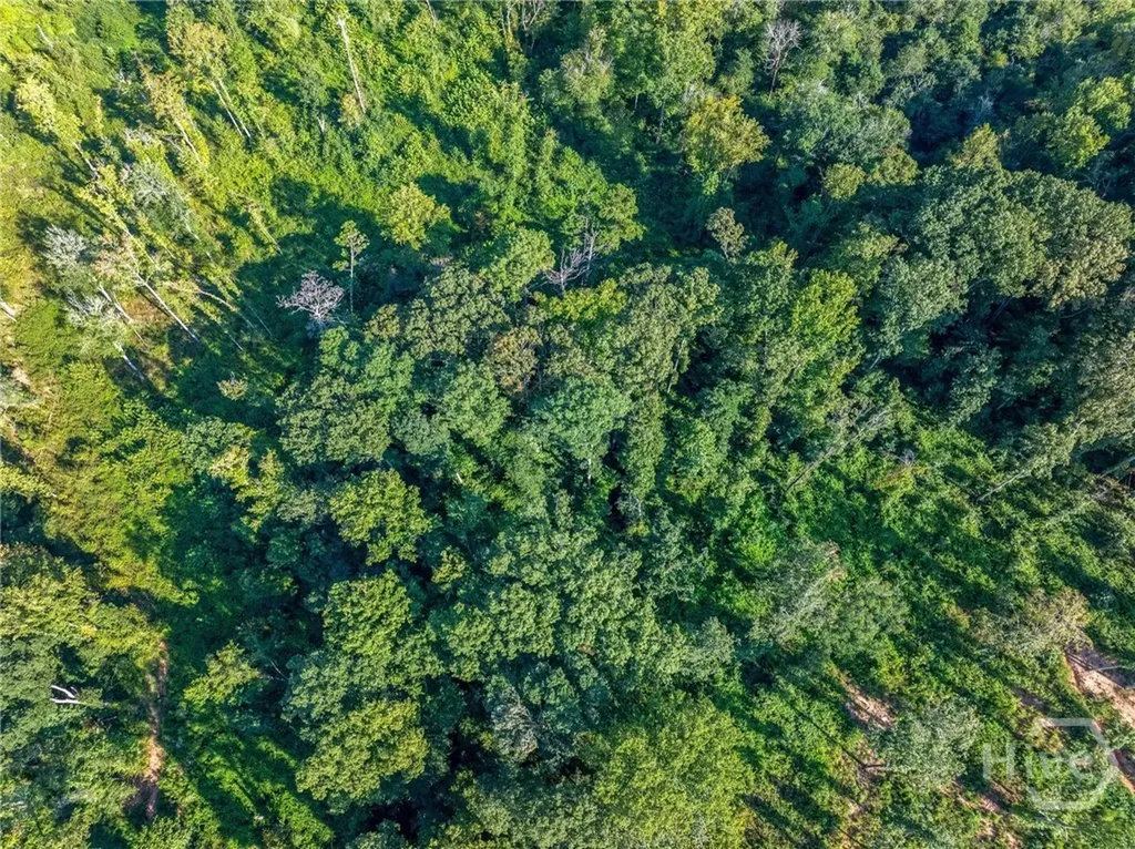 Lot 5 Stewart Loop Jefferson GA 30549