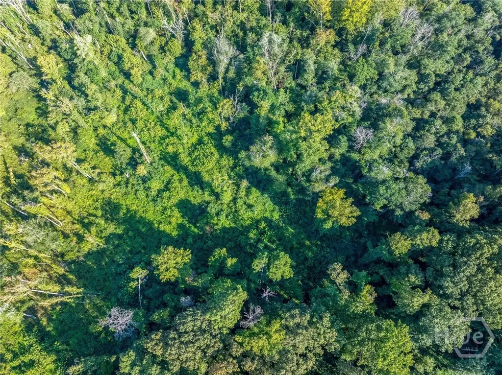 Lot 5 Stewart Loop Jefferson GA 30549