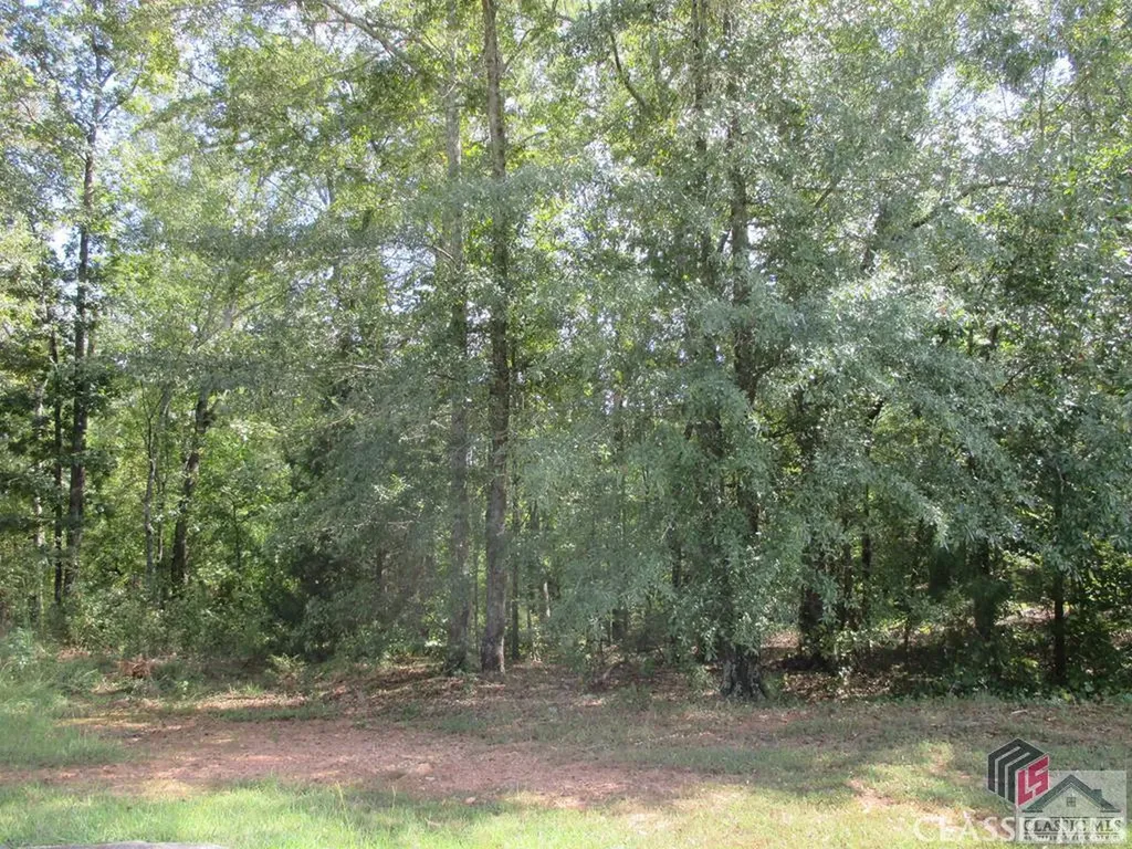 1100 Ryland Hills Drive Watkinsville GA 30677