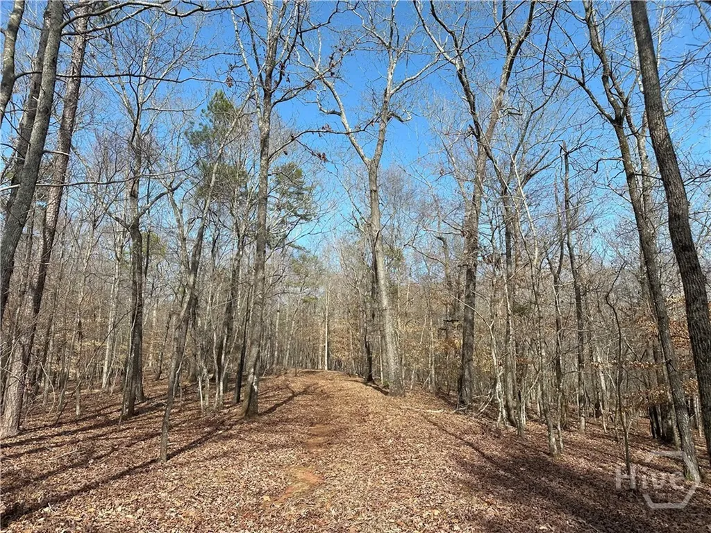 1181 Old Barnett Shoals Road Watkinsville GA 30605
