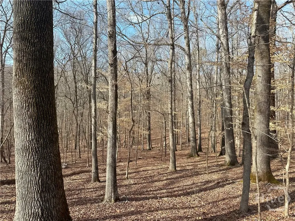 1181 Old Barnett Shoals Road Watkinsville GA 30605