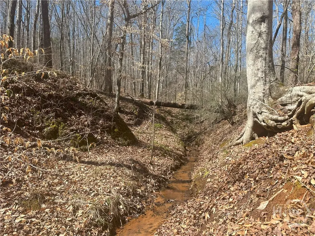 1181 Old Barnett Shoals Road Watkinsville GA 30605