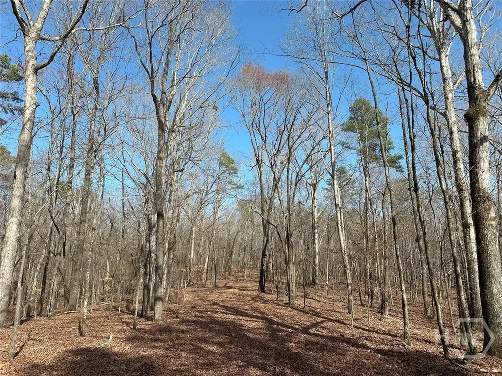 1181 Old Barnett Shoals Road Watkinsville GA 30605