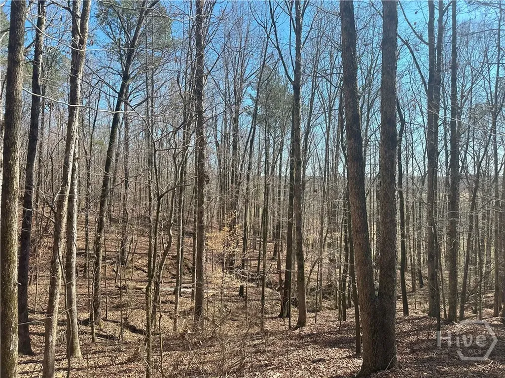 1181 Old Barnett Shoals Road Watkinsville GA 30605