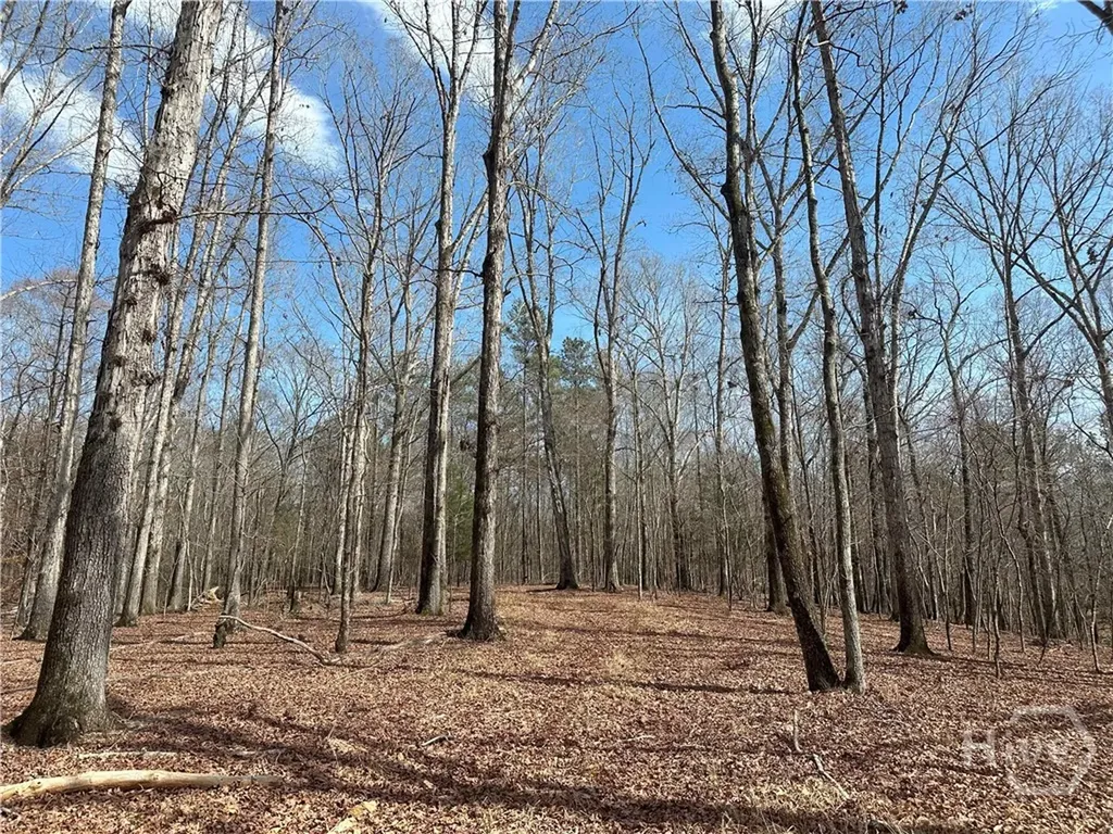 1181 Old Barnett Shoals Road Watkinsville GA 30605