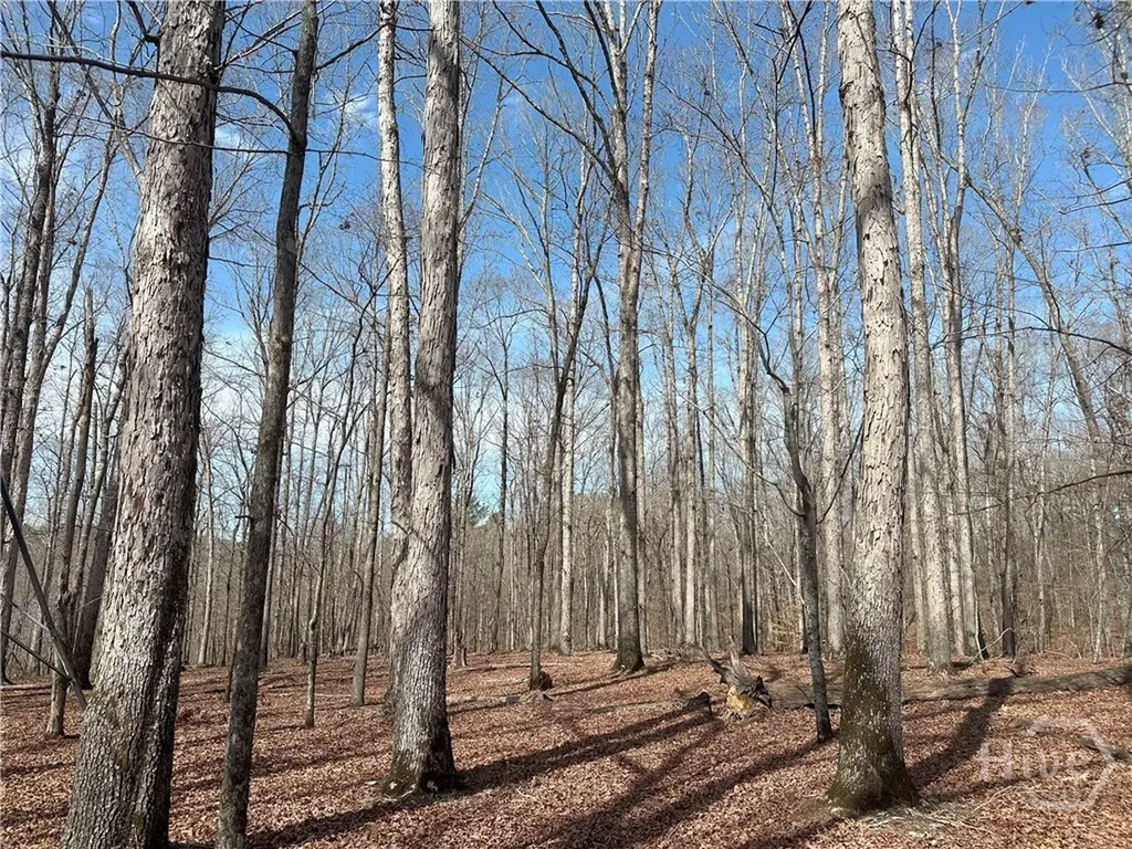 1181 Old Barnett Shoals Road Watkinsville GA 30605