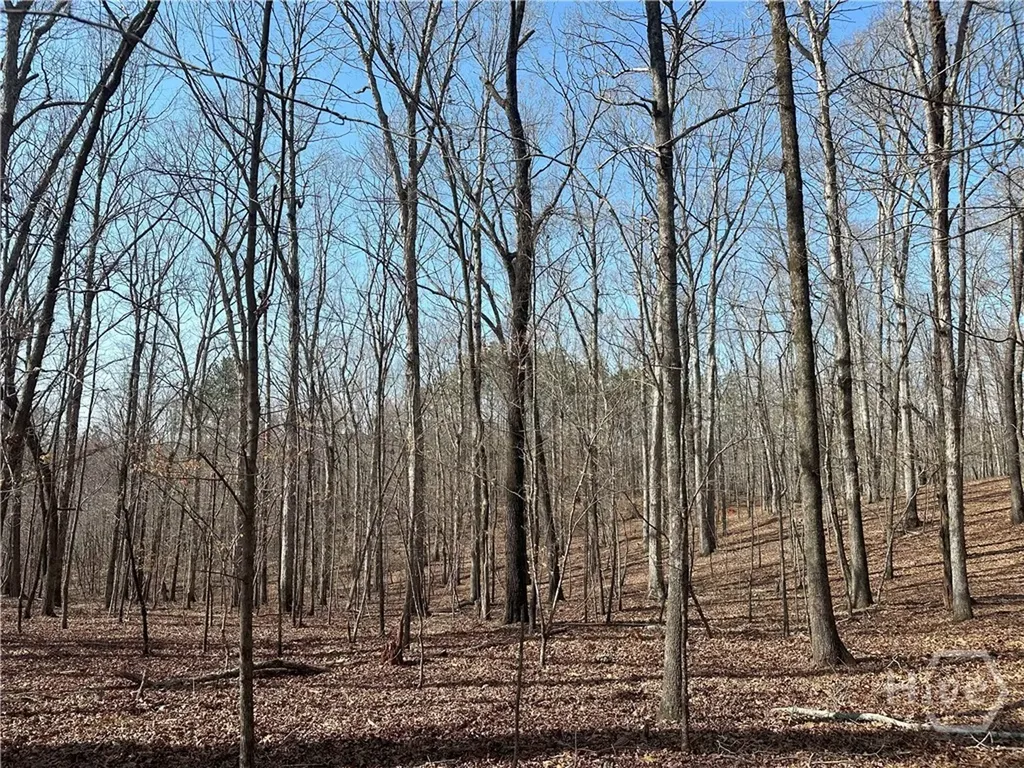 1181 Old Barnett Shoals Road Watkinsville GA 30605