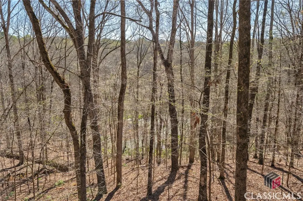 1191 Old Barnett Shoals Road Athens GA 30605