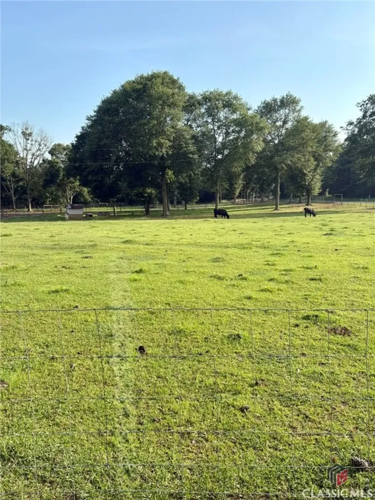 1368 Jot Em Down Road Danielsville GA 30633