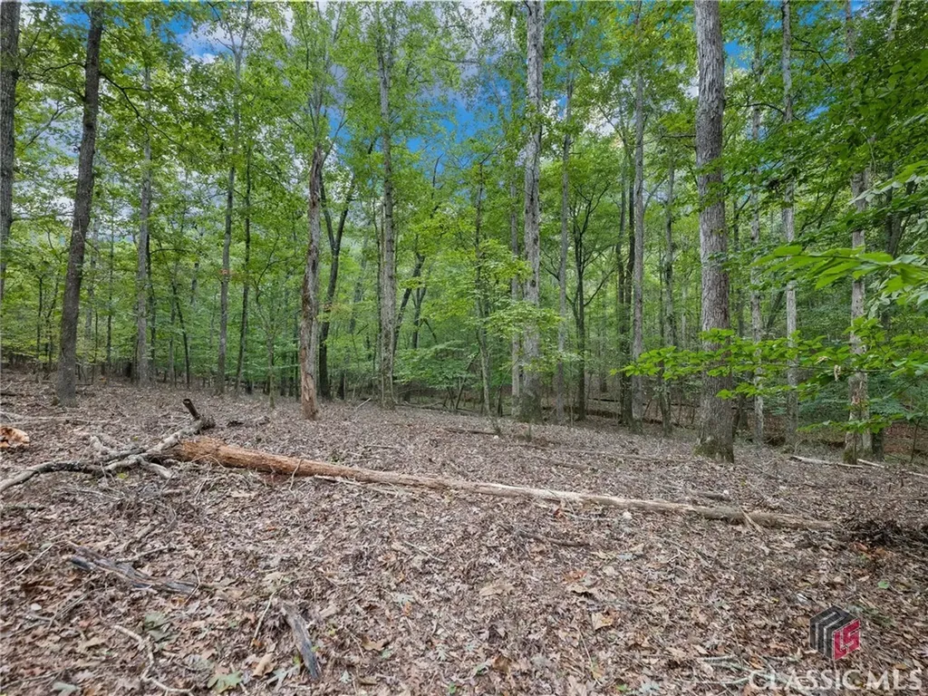 275 Hanover Drive Bogart GA 30622