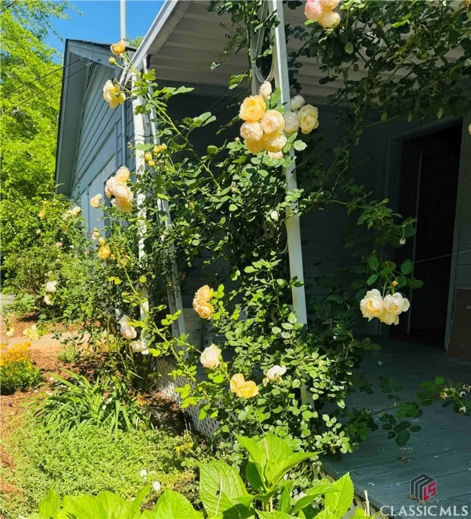 215 Cooper Road Athens GA 30605