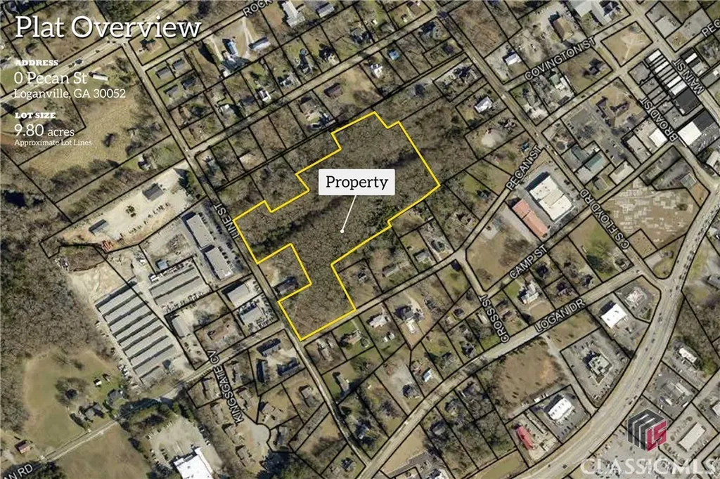 0 Line Street Loganville GA 30052