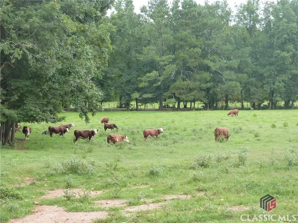 1650 Locklin Cemetery Road Monroe GA 30656
