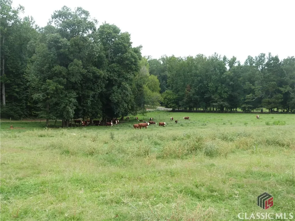 1650 Locklin Cemetery Road Monroe GA 30656