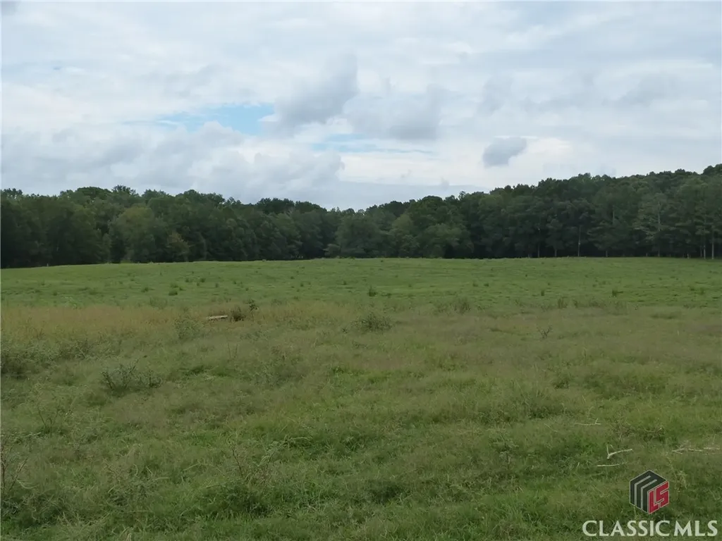 1650 Locklin Cemetery Road Monroe GA 30656