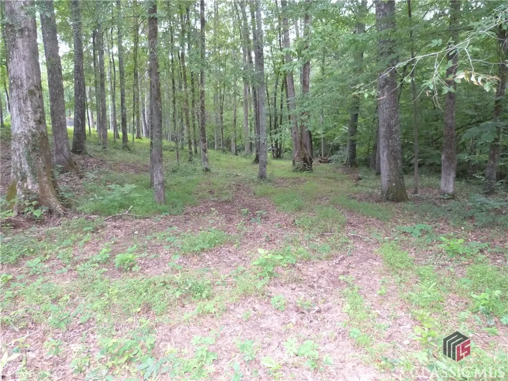 1650 Locklin Cemetery Road Monroe GA 30656