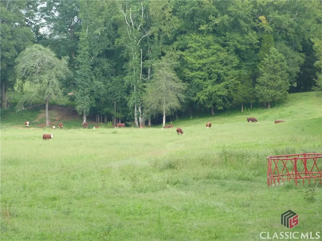 1650 Locklin Cemetery Road Monroe GA 30656