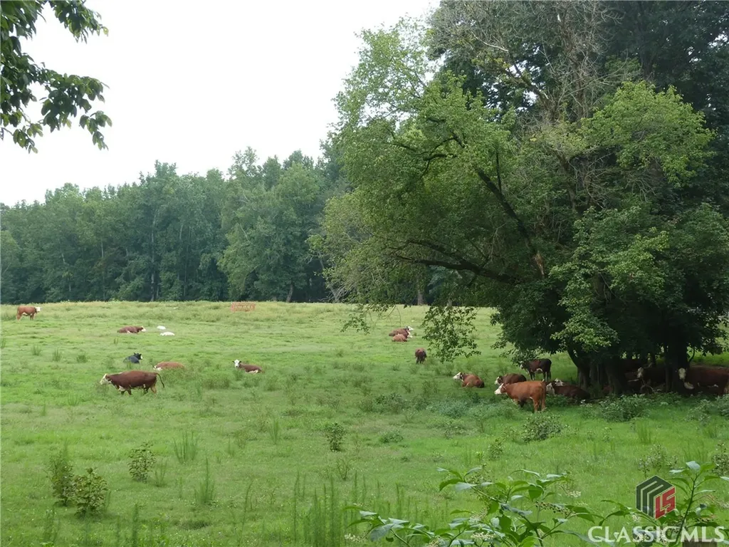 1650 Locklin Cemetery Road Monroe GA 30656