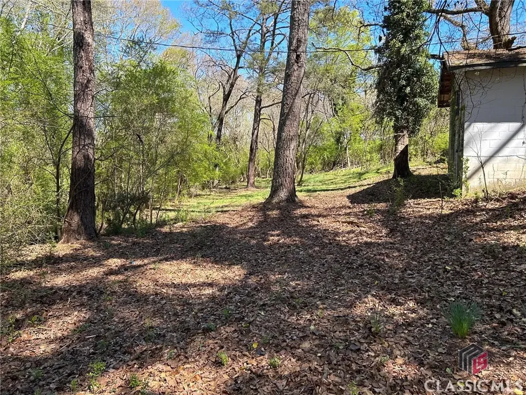 190 Bowles Drive Athens GA 30606