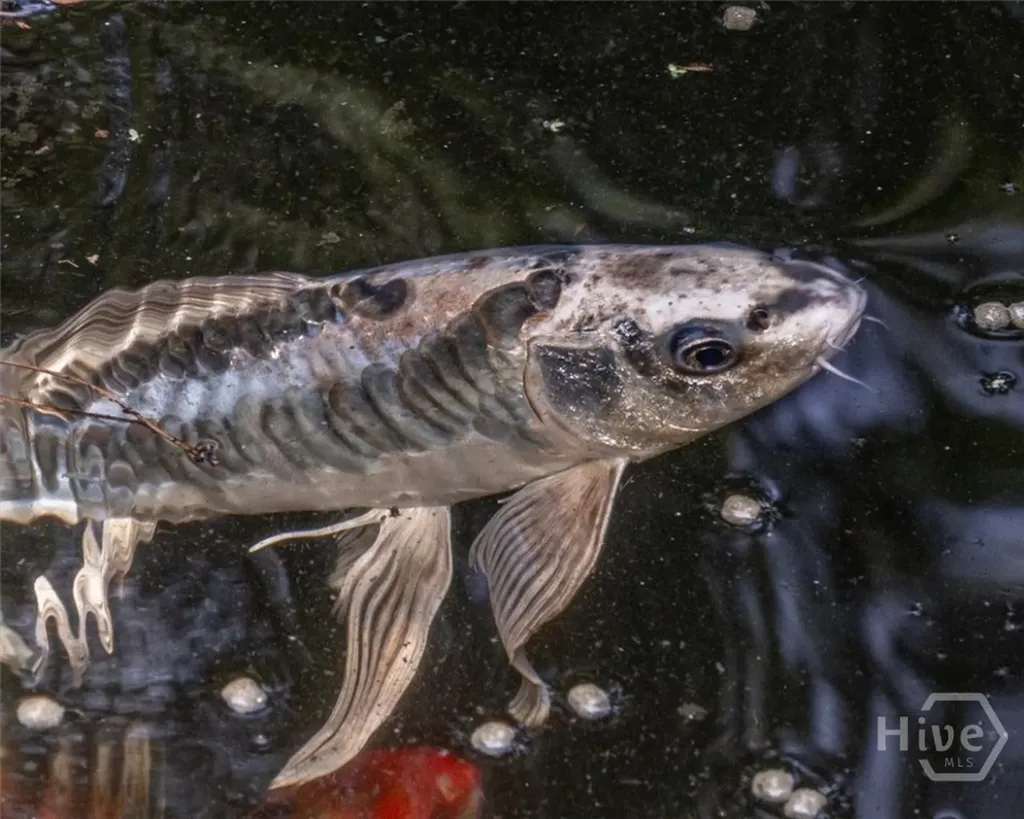 5109 Tallassee Road Athens GA 30607