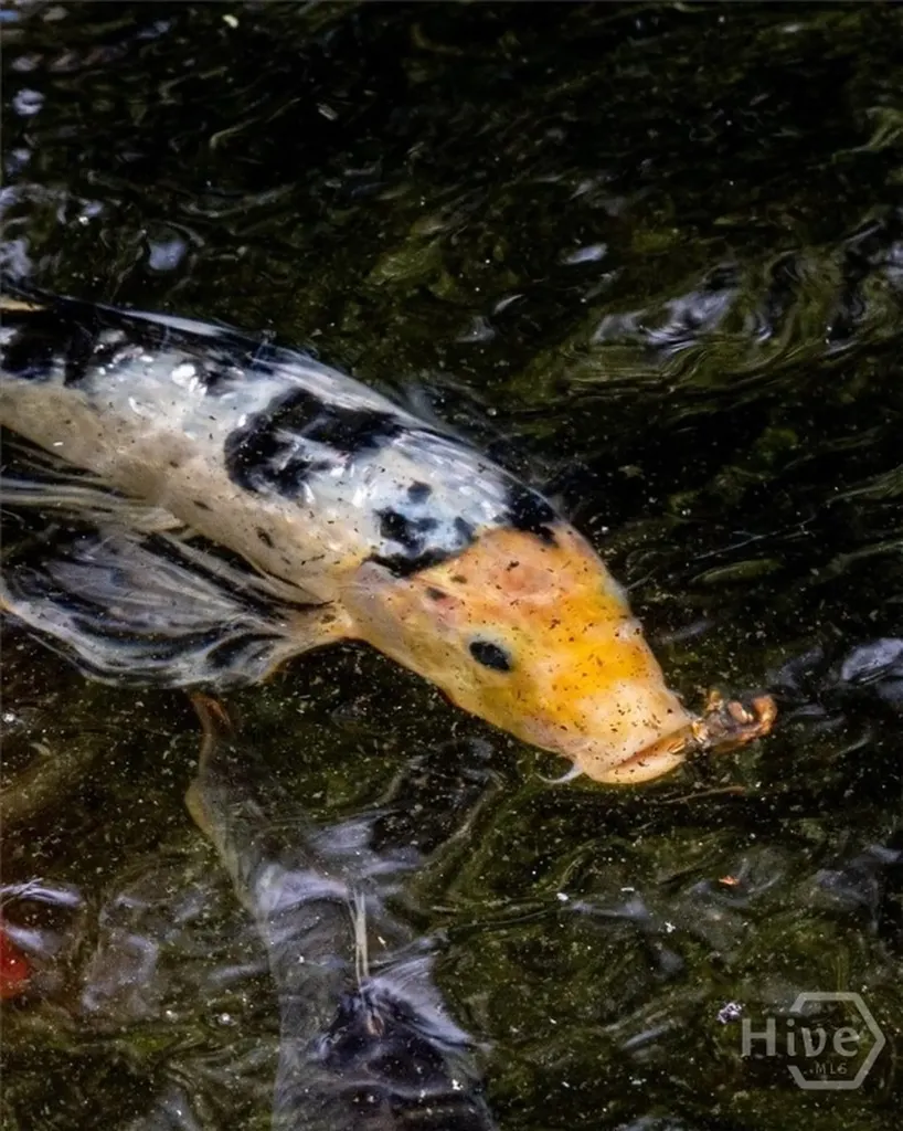 5109 Tallassee Road Athens GA 30607