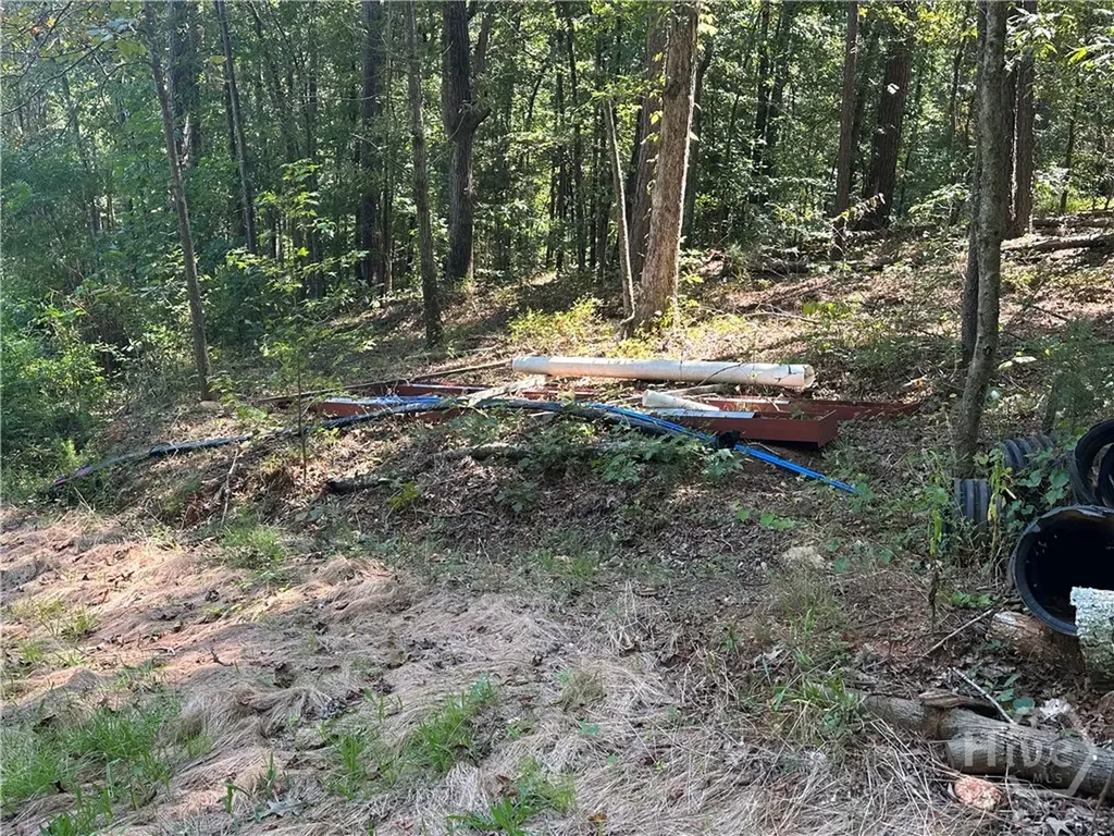 46 Creek Ridge Winterville GA 30683