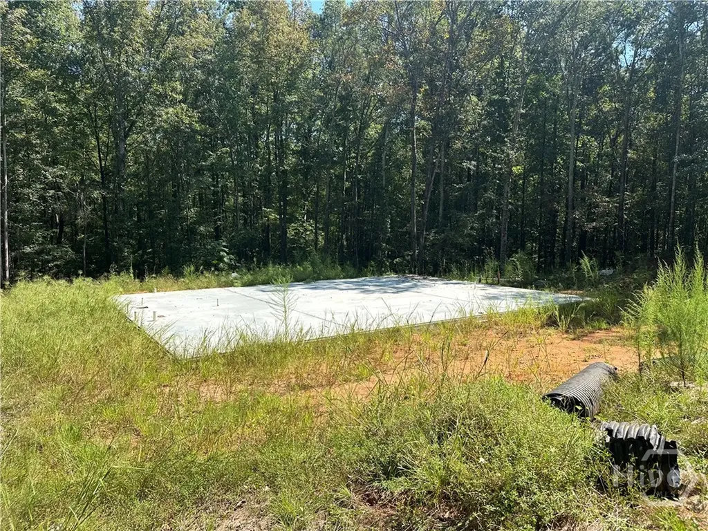 46 Creek Ridge Winterville GA 30683
