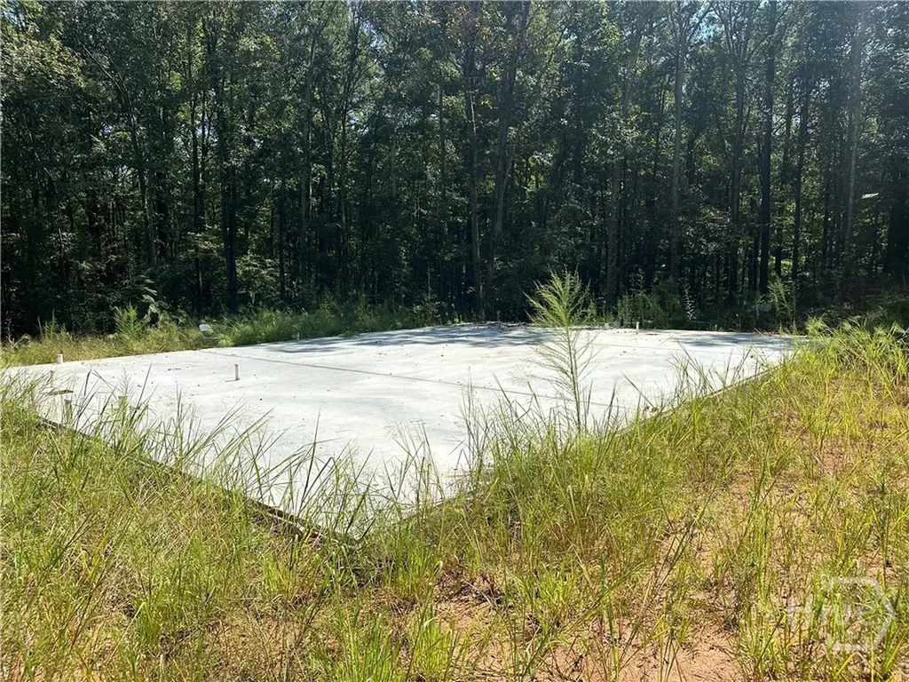 46 Creek Ridge Winterville GA 30683