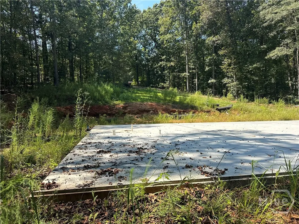46 Creek Ridge Winterville GA 30683