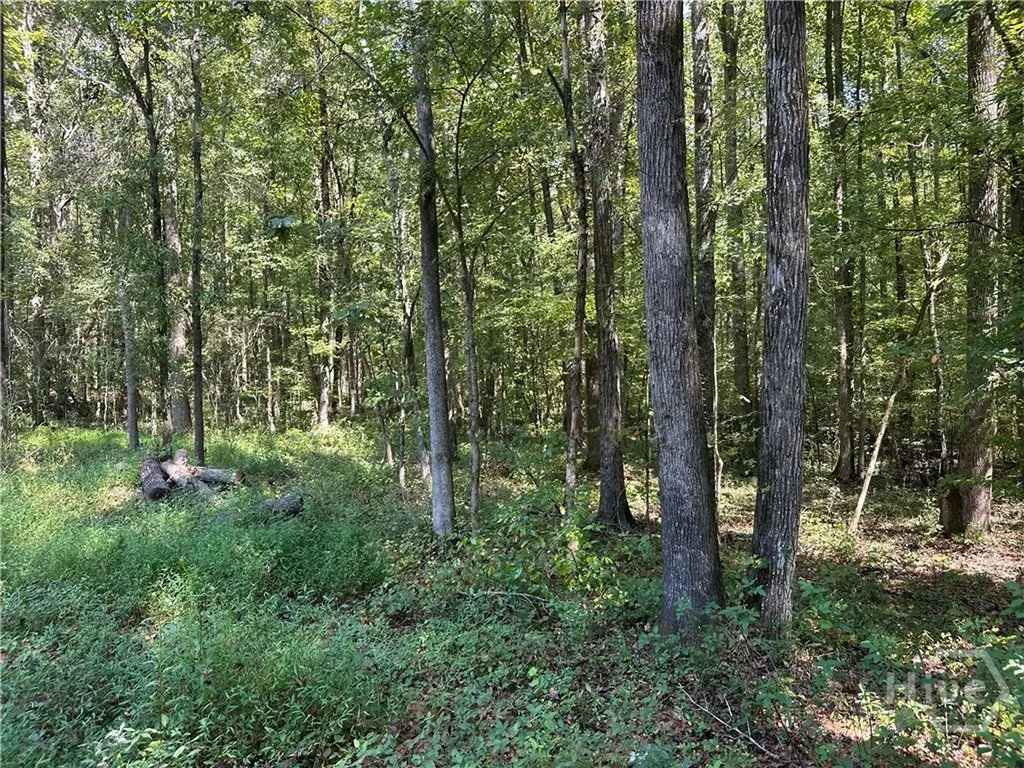 46 Creek Ridge Winterville GA 30683