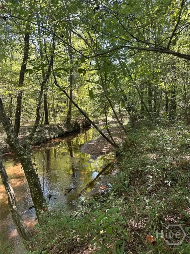 46 Creek Ridge Winterville GA 30683