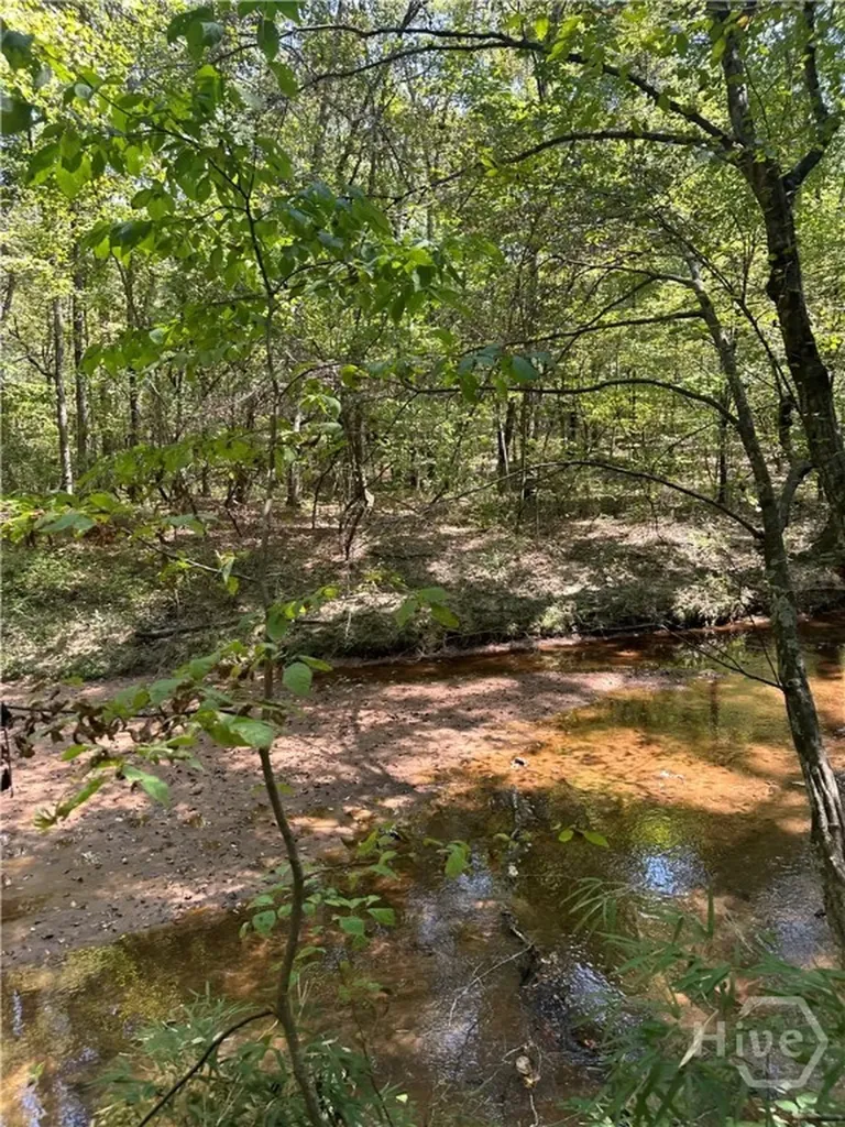 46 Creek Ridge Winterville GA 30683