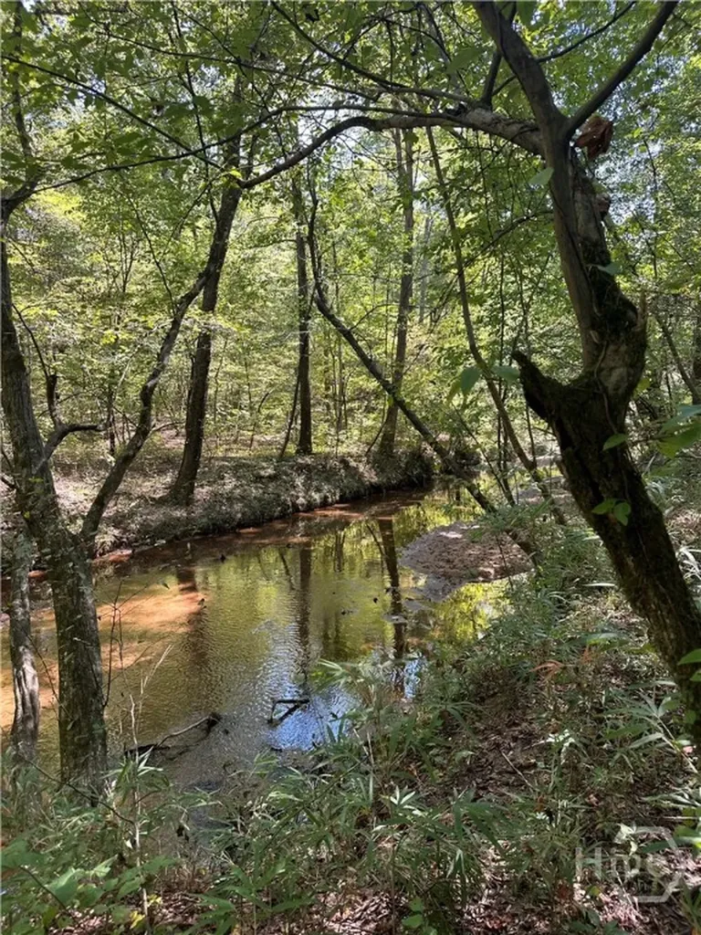 46 Creek Ridge Winterville GA 30683