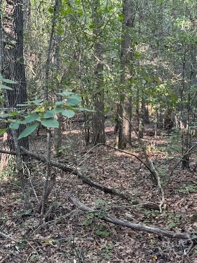 0 Rita Ridge Jefferson GA 30549