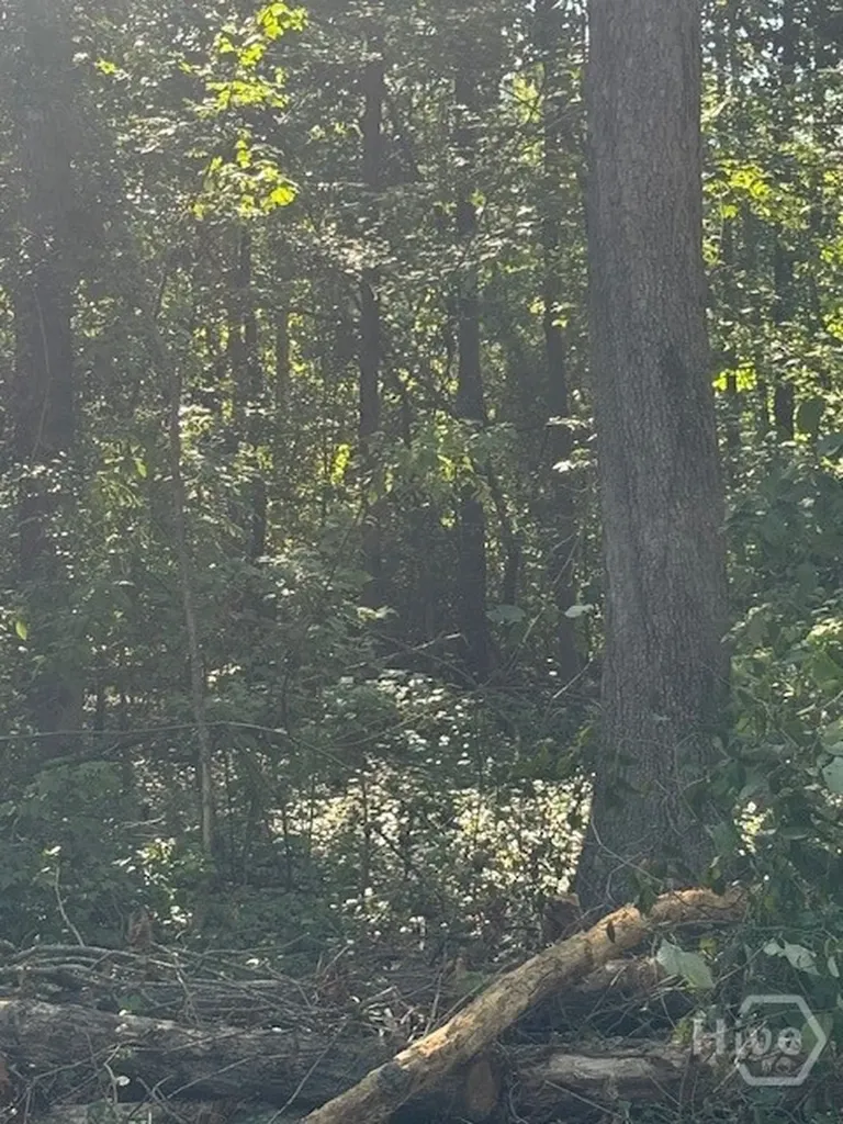 0 Rita Ridge Jefferson GA 30549