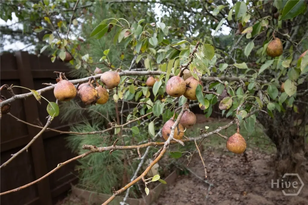 240 Bowden Lane Athens GA 30606