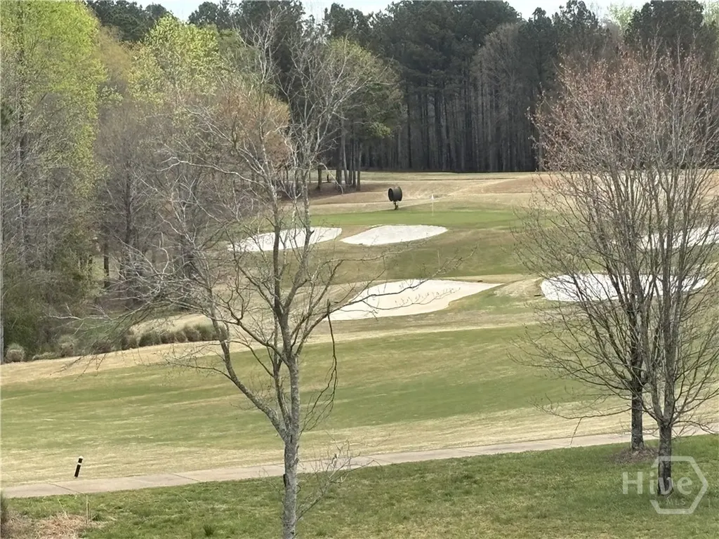 908 Indigo Bunting Road Statham GA 30666