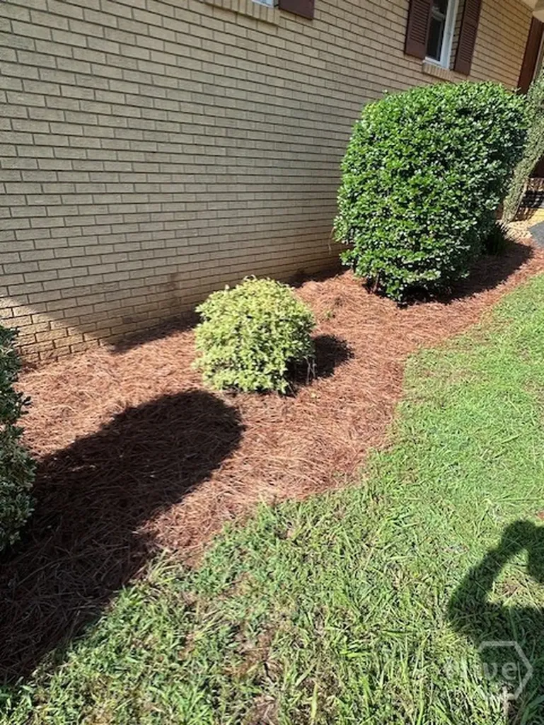 290 Belmont Road Athens GA 30605