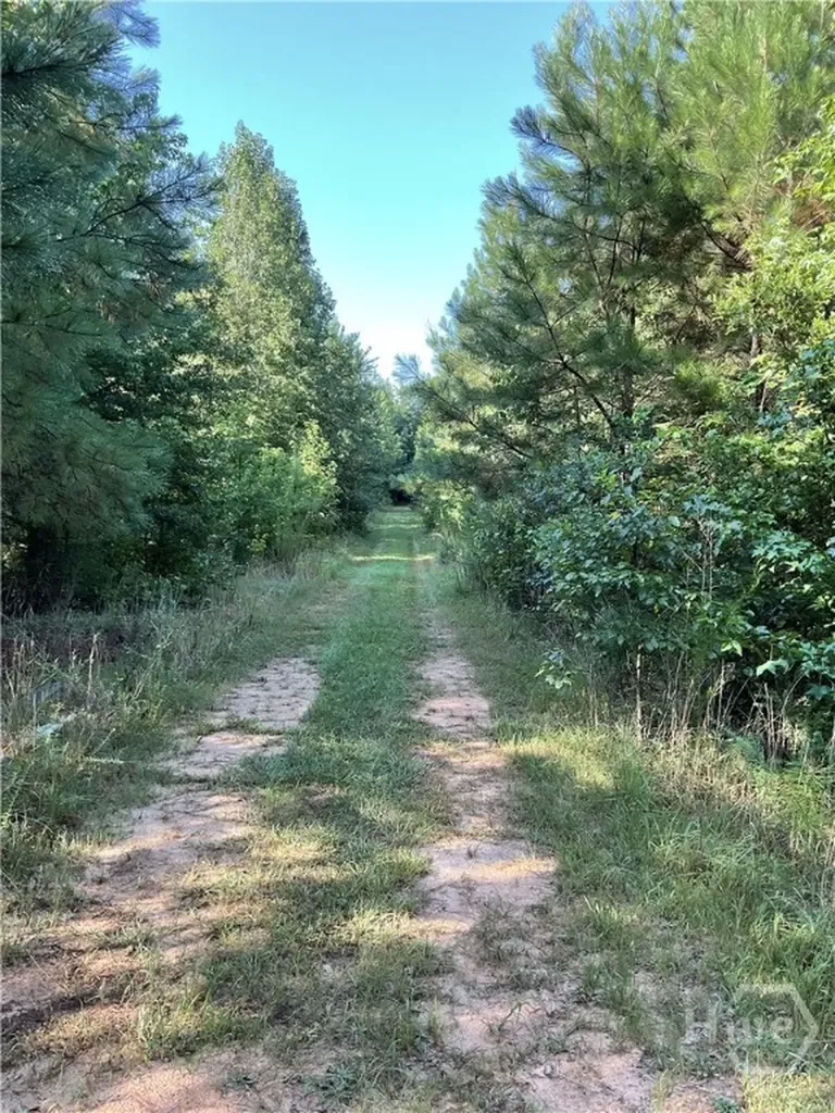 0 Bowers Street Bowman GA 30624