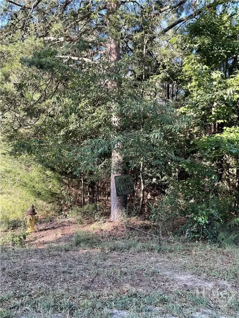 0 Bowers Street Bowman GA 30624