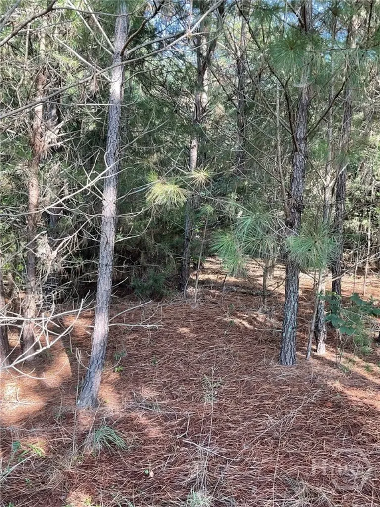 0 Bowers Street Bowman GA 30624