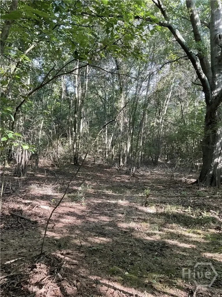 0 Bowers Street Bowman GA 30624