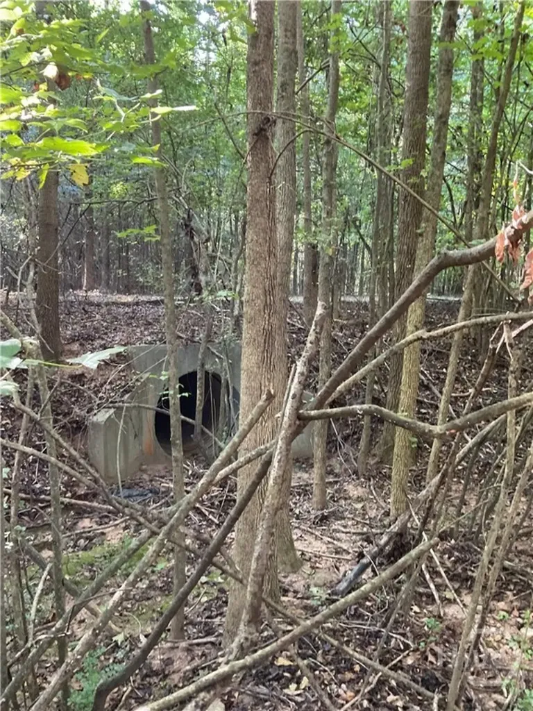 0 Bowers Street Bowman GA 30624
