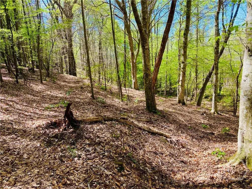 2B Curry Falls Trail Road Athens GA 30607