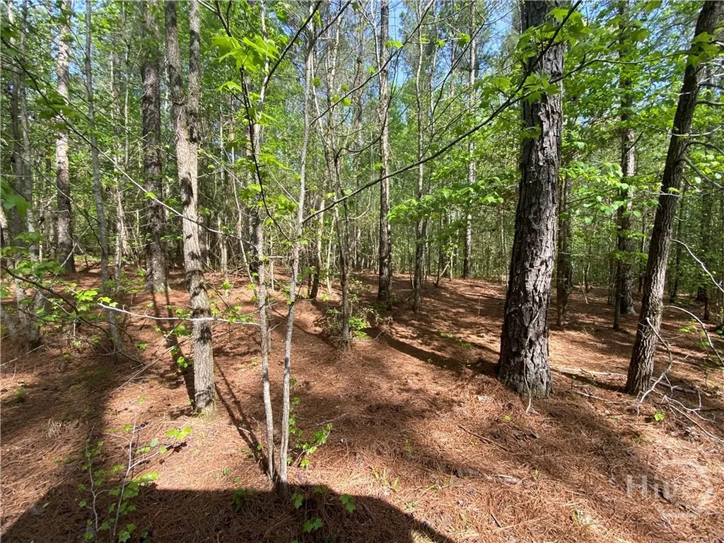 2B Curry Falls Trail Road Athens GA 30607