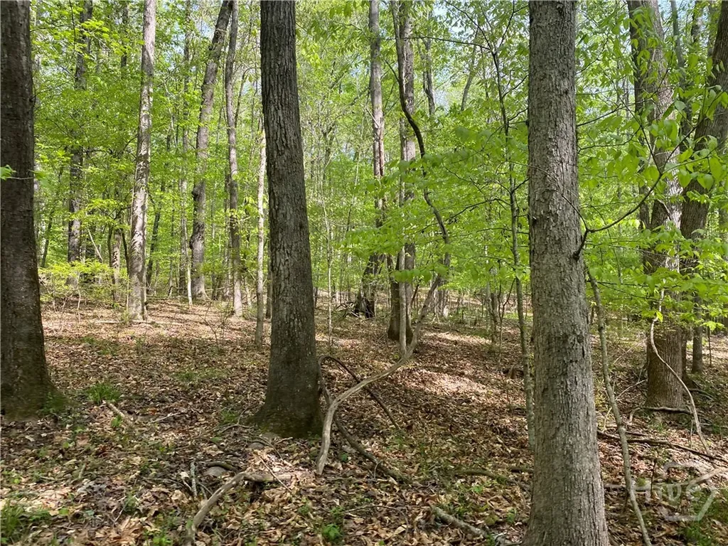 2B Curry Falls Trail Road Athens GA 30607