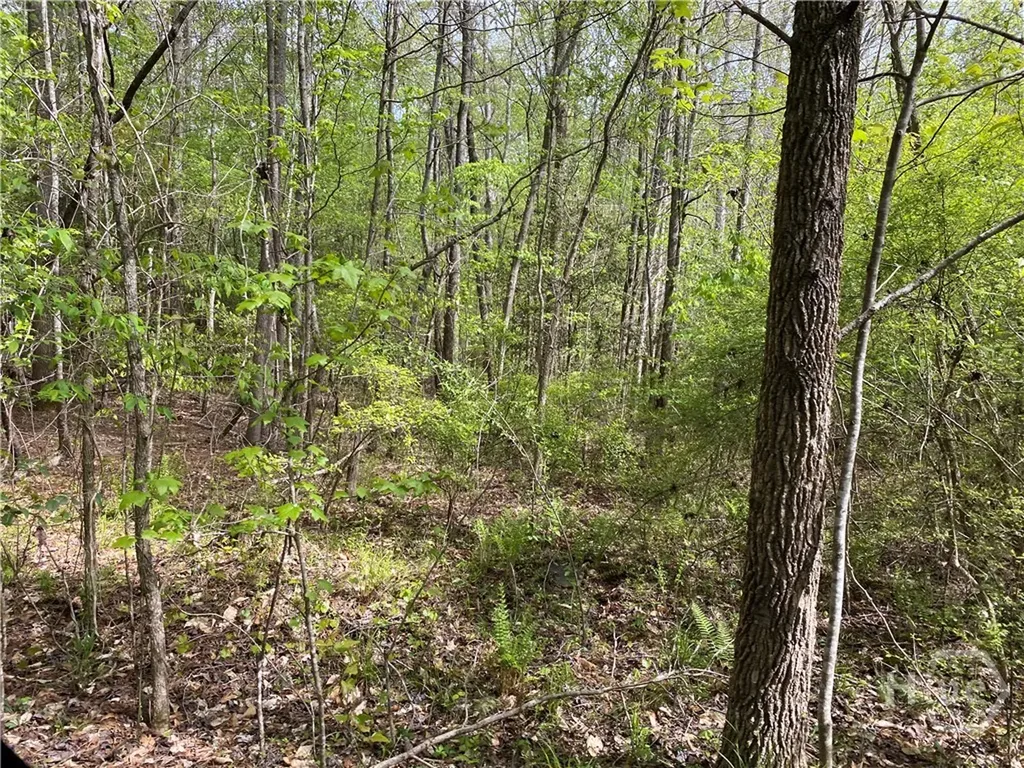 2B Curry Falls Trail Road Athens GA 30607