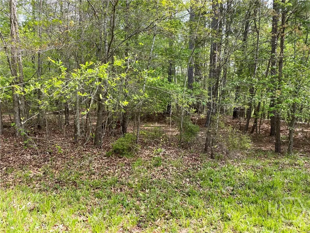 2B Curry Falls Trail Road Athens GA 30607