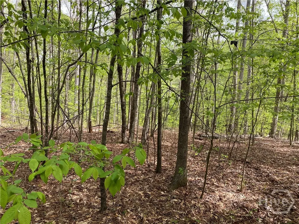 2B Curry Falls Trail Road Athens GA 30607